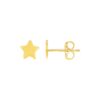 14k Yellow Gold Post Earrings with Stars(6.5mm)